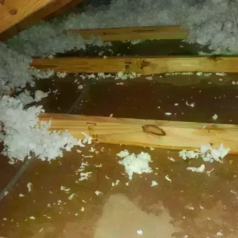 Attic Water Damage in Annandale, MN